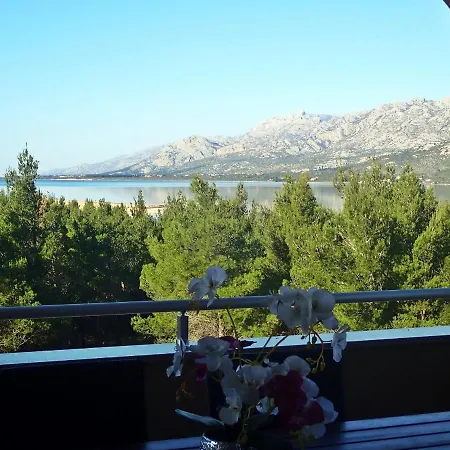 Dane Apartman Rovanjska