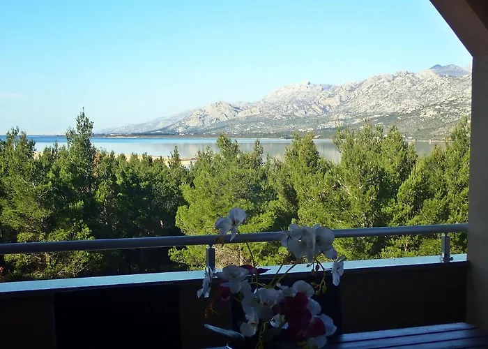 Dane Апартаменты Рованьска