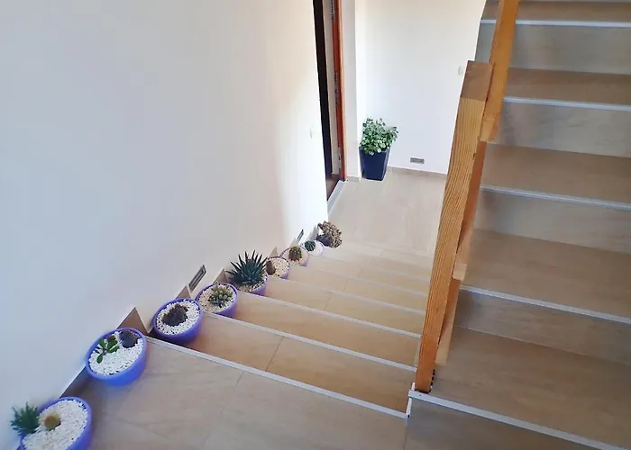 Dane Рованьска